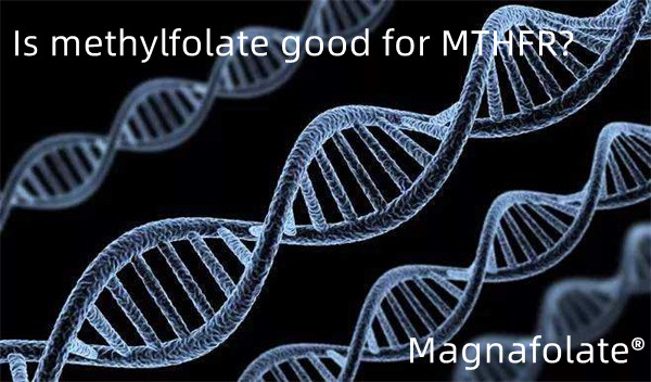 Да ли је метилфолат добар за МТХФР?