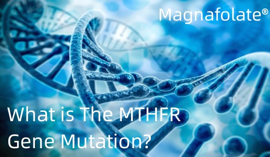 Шта је мутација гена МТХФР?