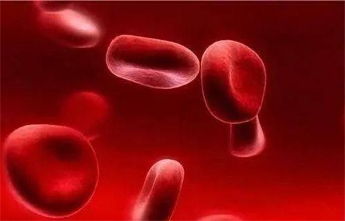 Зашто недостатак фолата узрокује проблеме имунолошког система
